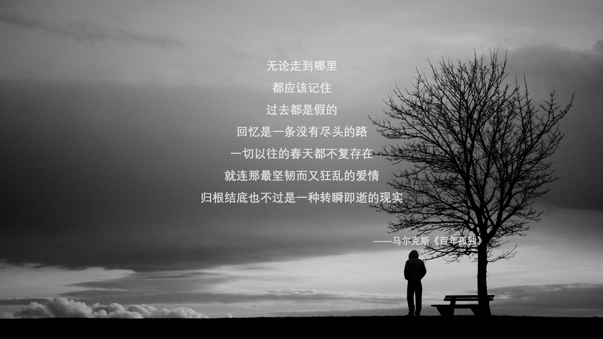 “荒野追逐:穿越山谷与沙漠的极速之战”,荒野追踪电影剧情女主背叛