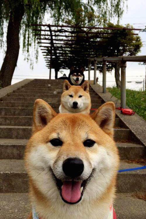 【创新激发激情】新规则加快比赛节奏、提升观赏性，比赛创新形式