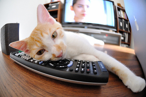 意甲:尤文在第90分钟绝平拉齐奥,争冠形势逐渐明朗,尤文拉齐奥比赛直播